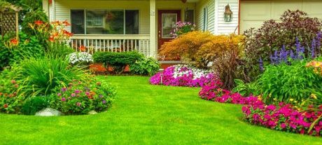 Image of a freshly mowed yard.