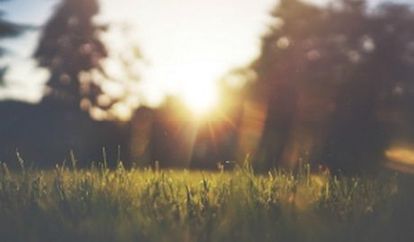 Image of the sun rising over freshly mowed grass.