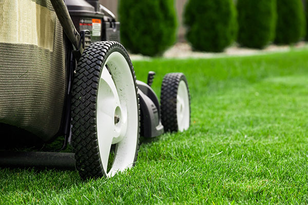 Image of lawn mower cutting the grass.