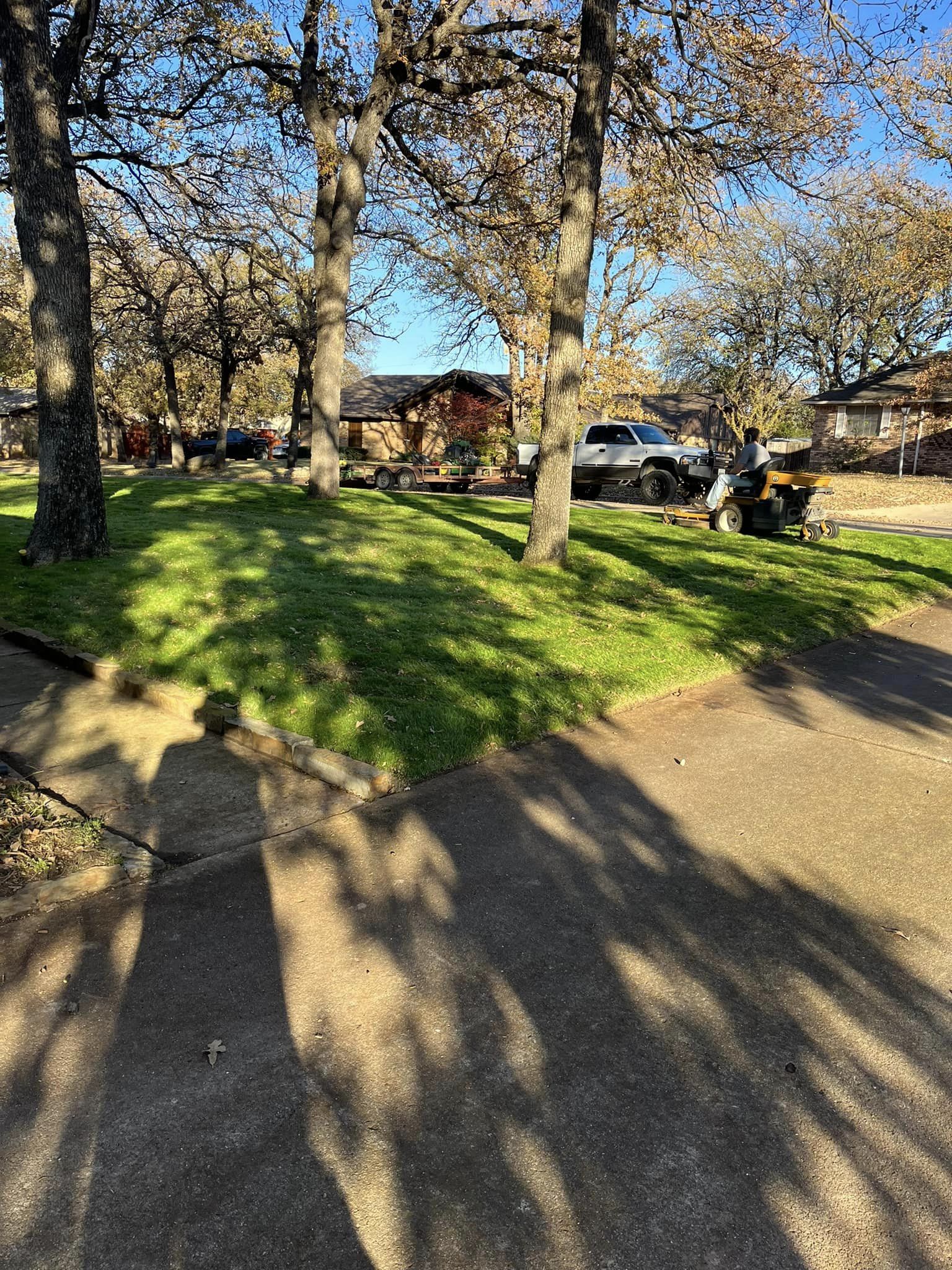 After image of leaves picked up in a yard.