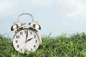 Image of a clock lying in the grass.